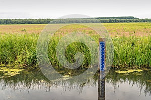 Water level scale in a Dutch ditch