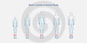 Water levels in human body in different ages- human age, water level,water percentage, Vector EPS 10