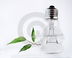 Water in light bulb and leaves