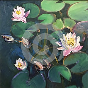 Water lilies bloomed on round petals art painting