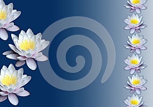 Water lilies texturised background