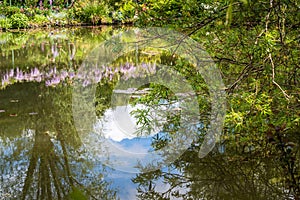 Water lillies, clouds and sky reflections at Claude Monet\'s gardens