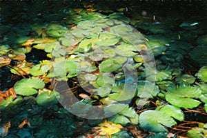 Water lillies in tropical Brazilian rain forest - Monet style digital manipulation