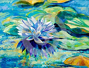 Water Lily