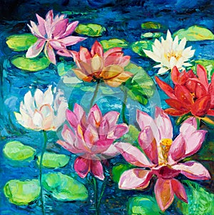 Water Lily