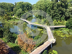 Water lily bridge at Tulln