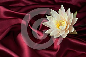 Water lily on burgundy satin photo