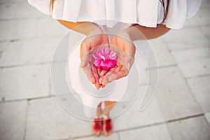 Water lily flower in woman hands