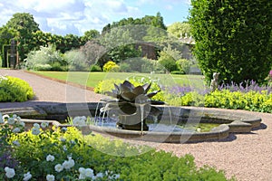 Water lily fountain