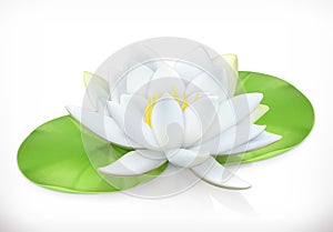 Water lily. Lotus flower. Vector icon