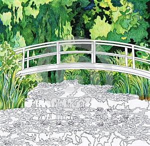 The Water Lily Pond 1899 by Claude Monet: adult coloring page