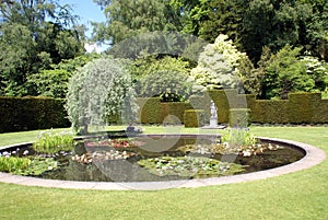 water lily pond in a topiary garden
