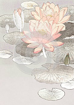 Water lily vintage wall art print poster design remix from original artwork by Ohara Koson