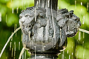 Water from lions mouth