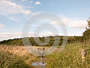 A water logged country walk meadow scene with wooden fence and g