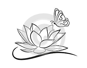 Water lotus with a butterfly.