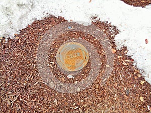Water Main Cover Next to Melting Snow M