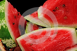 Water-melon 3