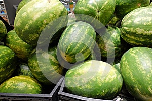 Water melon fruit bulk in fresh market, big ellipsoid-shaped and green colored tropical fruit