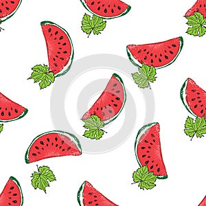 Water Melon Hand drawn Seamless Pattern Vector Illustration.