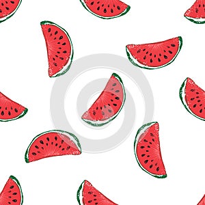 Water Melon Hand drawn Seamless Pattern Vector Illustration.