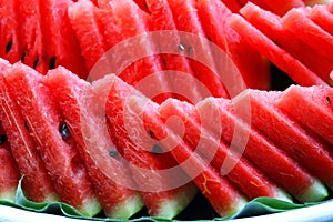 Water melon slices