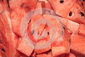 Water Melon Slices