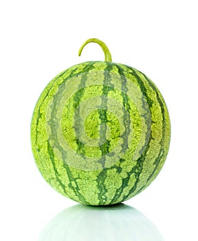 Green Water melon on white photo