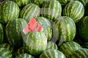 Water-melone