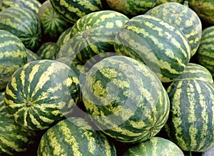 Water melons at a farmers market