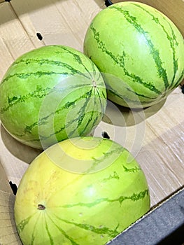 Water Melons