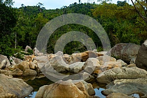 Water in the middle of rocks with a forested mountain in the background