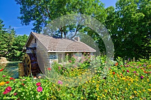 Water mill and flowers