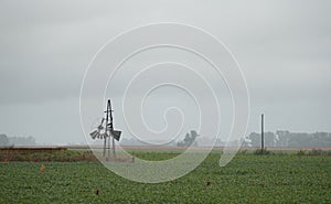 Water mill in the pampas photo