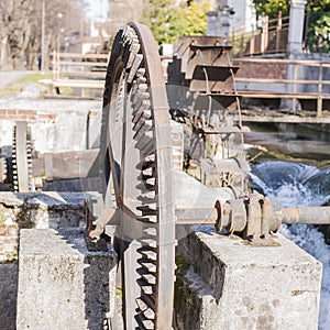 Water mills wheel