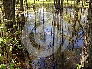 Water mirror