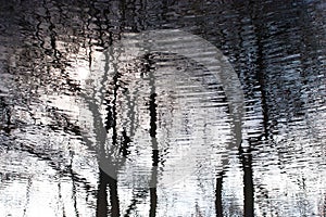 In water mirroring trees