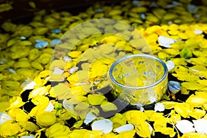 Water mixed with perfume And vivid flowers corolla , for Songkran festival in Thailand.