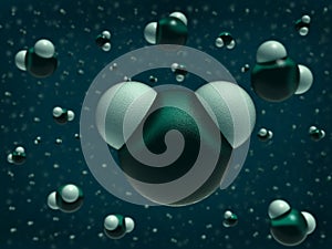 Water molecule