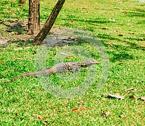 Water Monitor