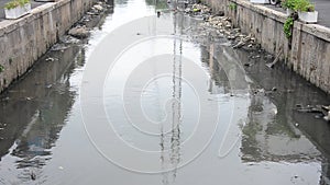 Water monitor or Varanus salvator swimming in wastewater