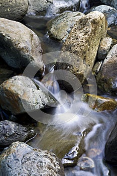 Water in motion in a river at El Yunque