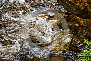 water in motion at willard brook