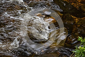 Water in motion at willard brook