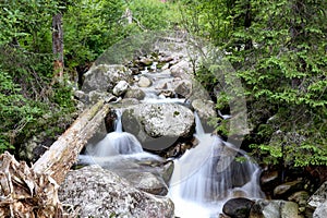 Voda horské řeky se skalami ve Vysokých Tatrách, Slovensko. Horská řeka, skály a divoké květiny scenérie