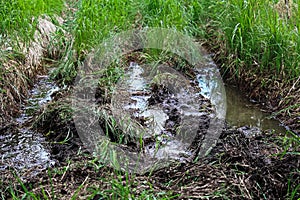 Acqua fango fossa sul marciapiede 