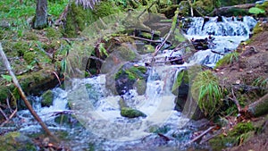Water of narrow mountain river is flowing on large stones covered with moss. Close up view.