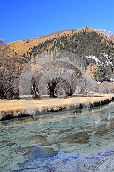 Water, nature, reflection, winter, tree, sky, leaf, river, plant, mountain, snow, bank, spring, loch, landscape, reservoir, branch