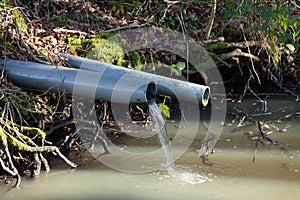 Water Outflow in Woodland photo