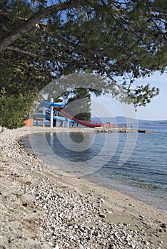 Water park and pine tree on the beach